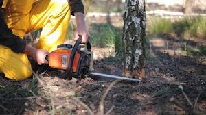 Lawn Grading and Leveling in Clearwater, FL